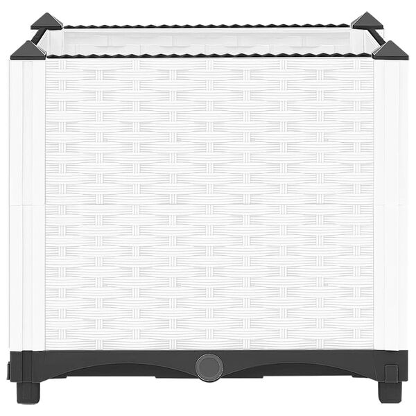 Se afișează imaginea 4 din 8