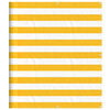 Yellow_and_white