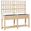 vidaXL Vază pentru Grădină Bej 161 x 46 x 152,5 cm Lemn de Brad Solid