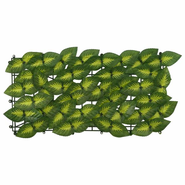 Se afișează imaginea 3 din 6