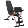 vidaXL Bancă de greutăți Manual Negru 131 x 41 x 100 cm