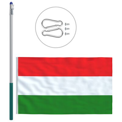 vidaXL Steag Ungaria și stâlp din aluminiu, 6 m