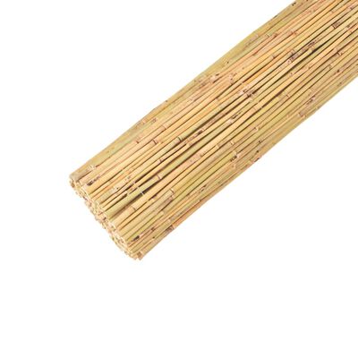 vidaXL Gard din bambus, 250 x 170 cm