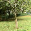 Imagine in miniatură a produsului 2 din 7