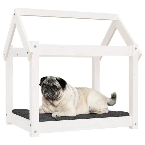Se afișează imaginea 4 din 8