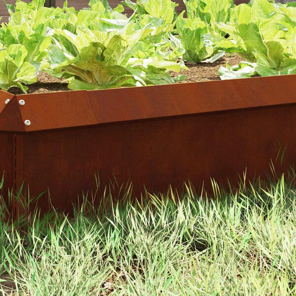 Se afișează imaginea 3 din 12