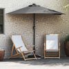 vidaXL Parasol de Grădină Antracit 294 x 150 x 223 cm