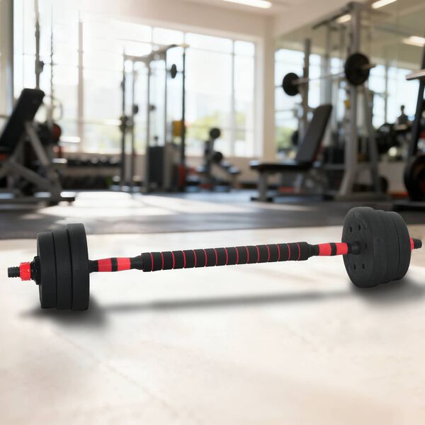 vidaXL Set de Haltere 2 în 1 Negru și roșu 121 x 19,5 x 19,5 cm