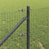 Imagine in miniatură a produsului 4 din 16