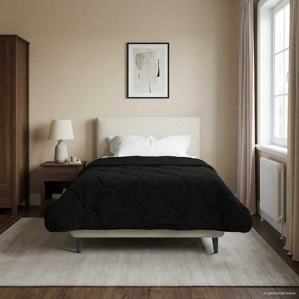 Se afișează imaginea 2 din 10