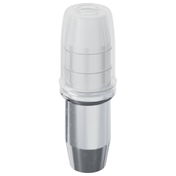 vidaXL Ușă de raft 2 pcs Argintiu 7 x 16 mm Fier