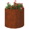 vidaXL Jardinieră Ruginit 60 x 30 x 50 cm Oțel rezistent de intemperii