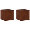 vidaXL Suport pentru plante 2 pcs Ruginit 40 x 40 x 40 cm