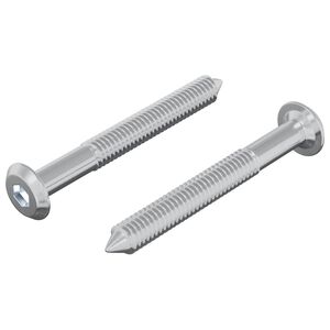 vidaXL Șurub 2 pcs Argintiu M6 x 50 mm Oțel