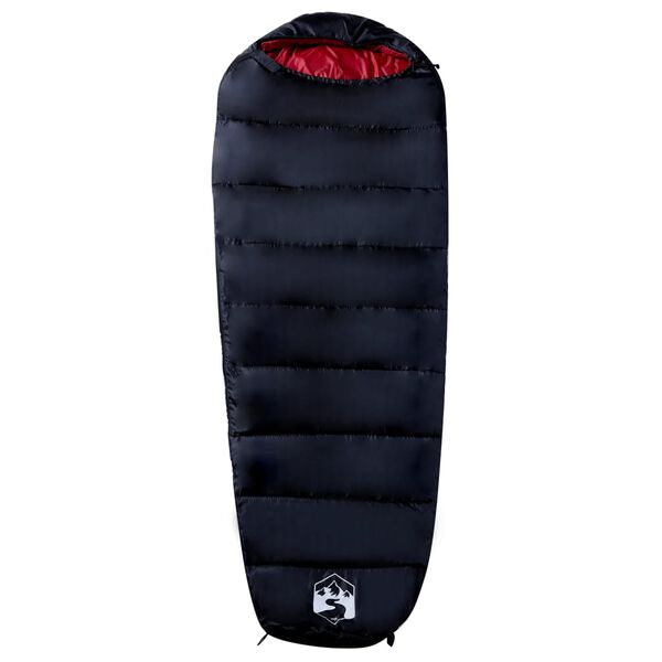 Se afișează imaginea 2 din 5