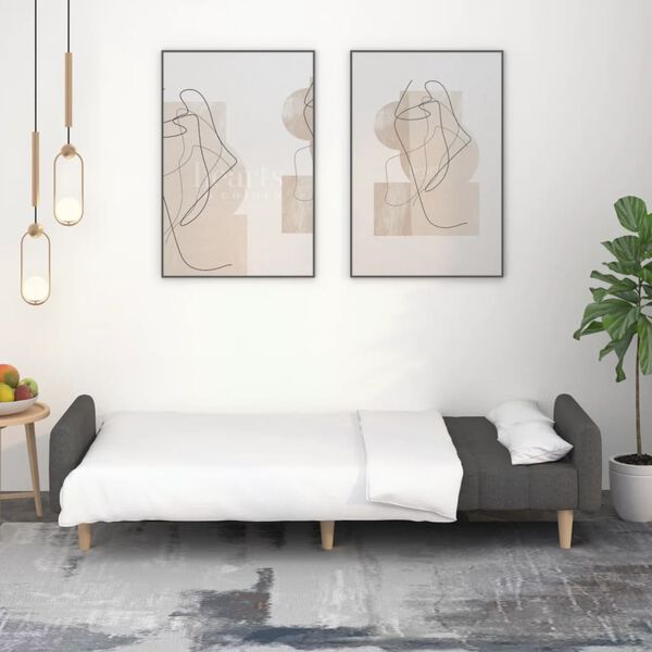 vidaXL Canapea extensibilă cu 2 locuri, gri &icirc;nchis, textil