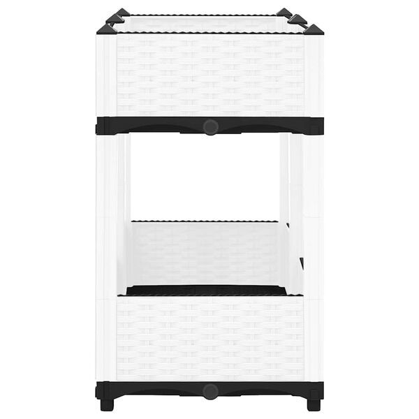 Se afișează imaginea 4 din 8