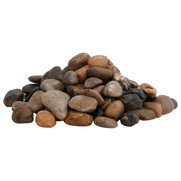 vidaXL Pietricele lustruite, 10 kg, culori mixte, 2-5 cm