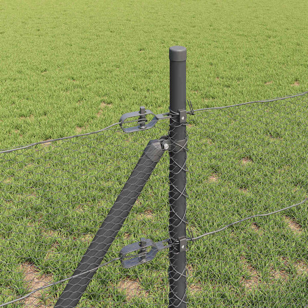 Se afișează imaginea 4 din 15