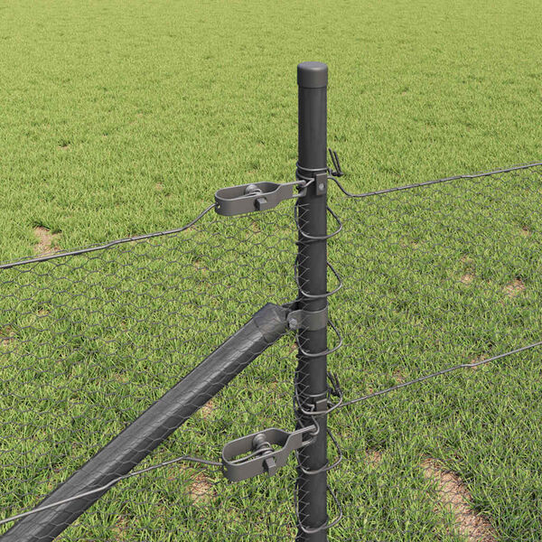 Se afișează imaginea 4 din 16