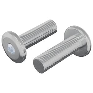 vidaXL Șurub 2 buc. Argintiu 8 x 25 mm Oțel