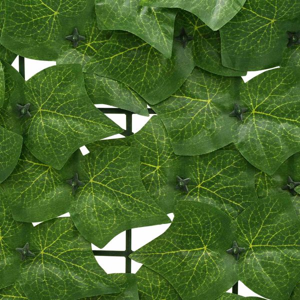 Se afișează imaginea 4 din 6