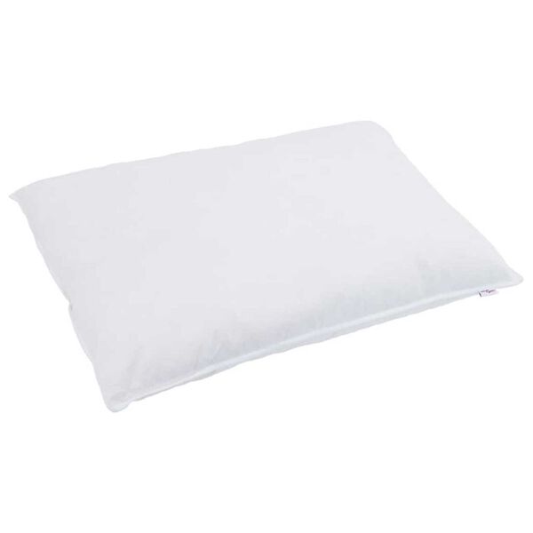 vidaXL Pernă cu pernă 2 pcs Alb 60 x 80 cm Pene