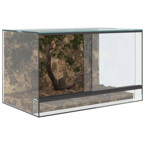vidaXL Terariu cu depozitare Transparent 50 x 30 x 30 cm Sticlă