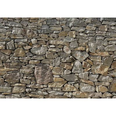 Komar Fototapet mural Stone Wall, 368 x 254 cm, 8-727