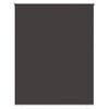 vidaXL Rulou exterior protecție UV Antracit 100 x 230 cm (L x H)