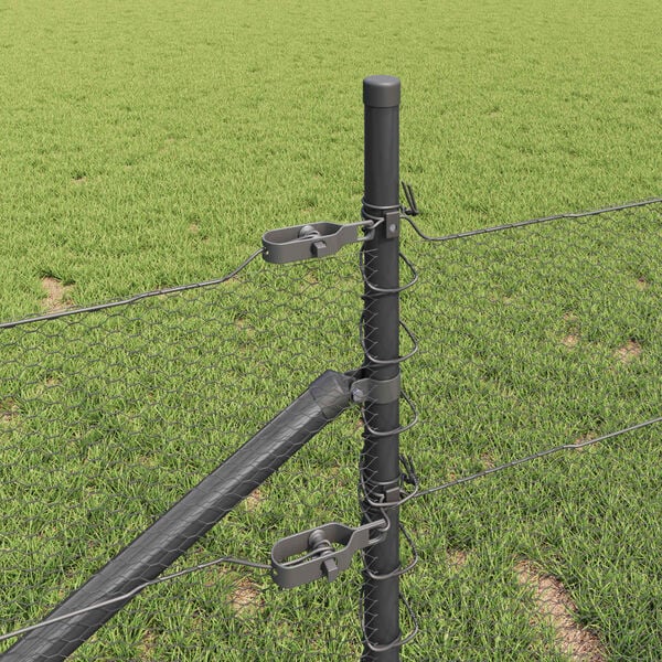 Se afișează imaginea 4 din 19