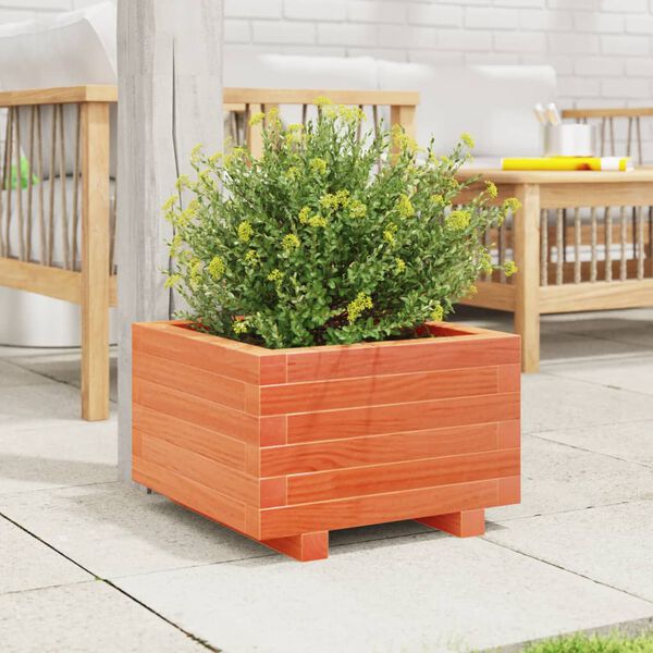 Se afișează imaginea 3 din 10