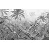 Komar Fototapet mural Amazonia, alb şi negru, 400x250 cm