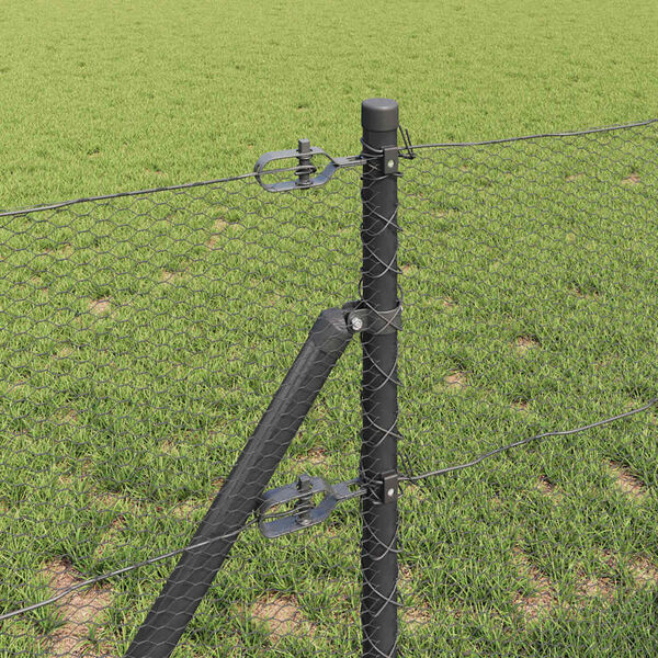 Se afișează imaginea 4 din 15