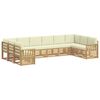 White_and_cream