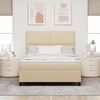 vidaXL Pat cu arcuri cu saltea cu headboard Crem 160 x 200 cm țesătură