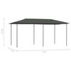 vidaXL Pavilion, antracit, 2,98x5,3x2,59 m, 160 g/m²