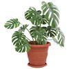 vidaXL Ghivece pentru plante 6 pcs Roșu cărămidă &Oslash; 26 x 21.5 cm