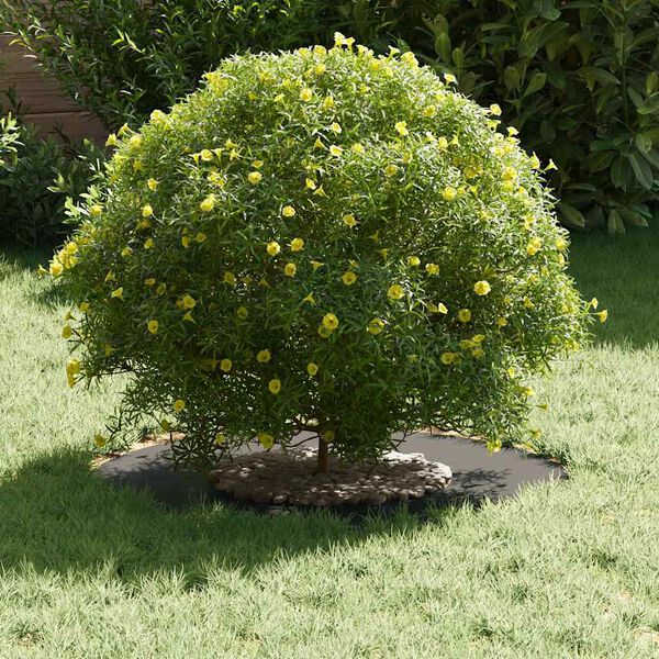 vidaXL potrivit pentru inele de copac plat 5 pcs Negru Ø30 / 60 cm Oțel