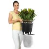 LECHUZA Jardinieră Classico 28 LS ALL-IN-ONE, alb extralucios 16040