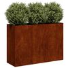 vidaXL Jardinieră Rusty 120x40x80 cm Oțel pentru intemperii