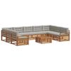 vidaXL Set de canapele de exterior 10 buc. Gri natural și deschis