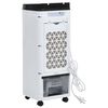 vidaXL Răcitor de aer mobil 3-&icirc;n-1, alb și negru, 60 W