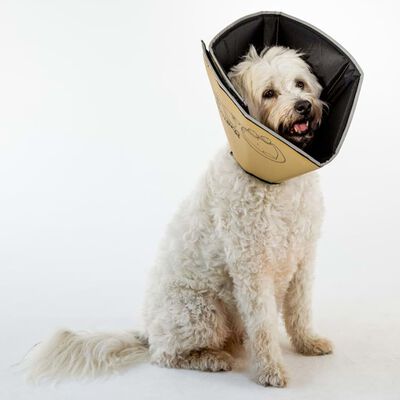 All Four Paws Guler protector animale Comfy Cone XL, cafeniu, 30 cm