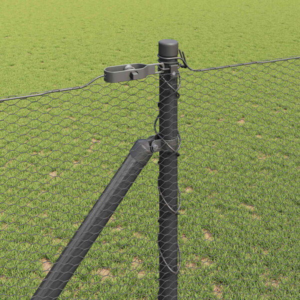 Se afișează imaginea 4 din 13