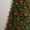 Imagine in miniatură a produsului 3 din 10