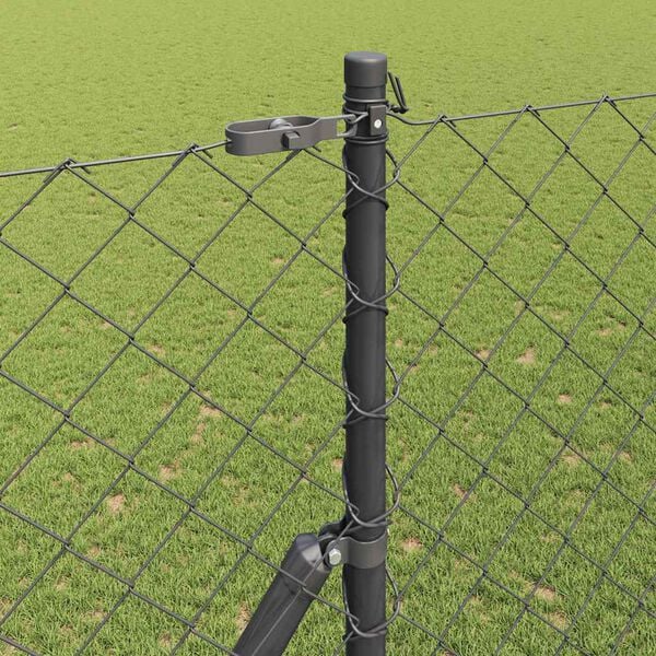 Se afișează imaginea 4 din 15