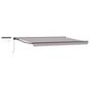 vidaXL Cort electric retractabil Gri deschis și antracit 5 &times; 3,5 m