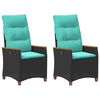 Black_and_turquoise