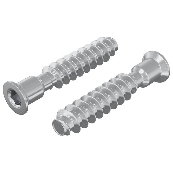 vidaXL Șurub cu capac 2 pcs Argintiu M7 x 40 mm Oțel